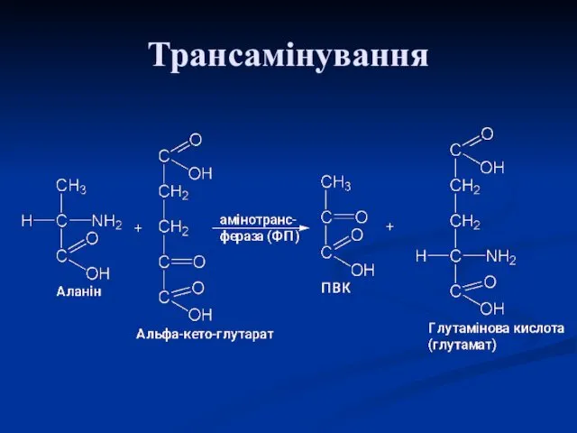 Трансамінування