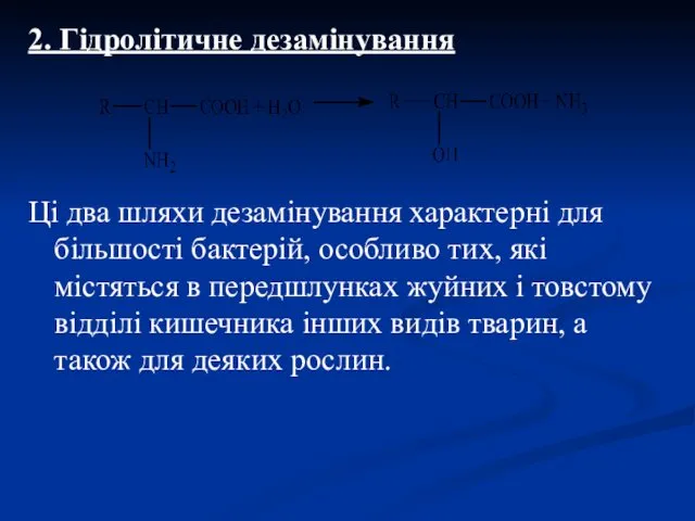 2. Гідролітичне дезамінування Ці два шляхи дезамінування характерні для більшості