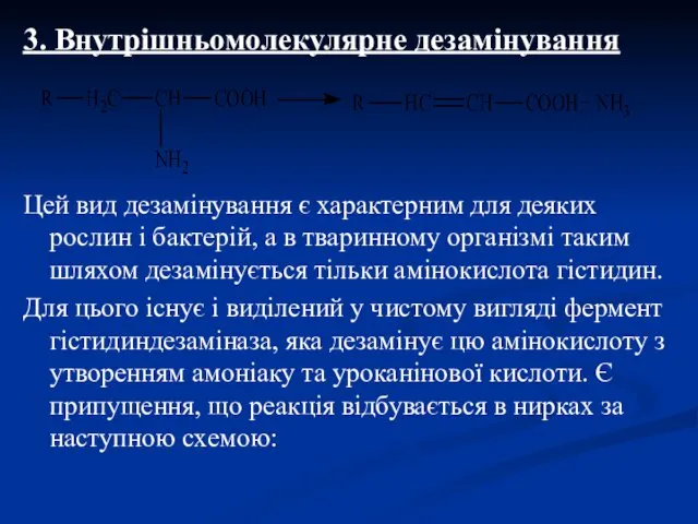 3. Внутрішньомолекулярне дезамінування Цей вид дезамінування є характерним для деяких