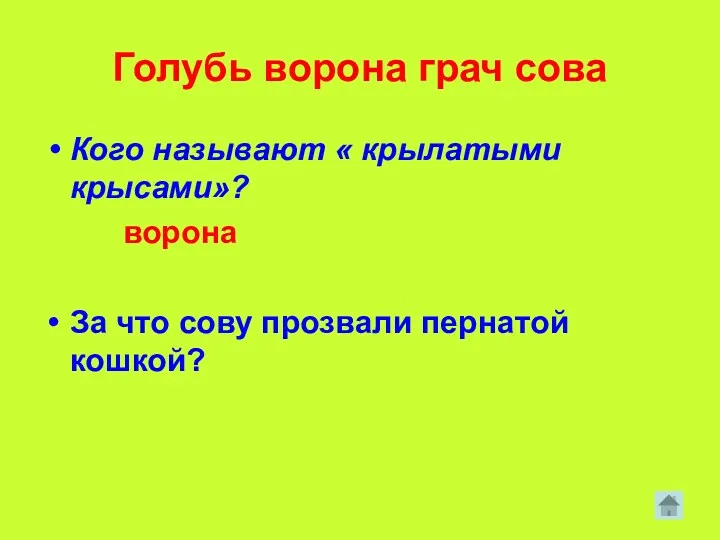 Голубь ворона грач сова Кого называют « крылатыми крысами»? ворона За что сову прозвали пернатой кошкой?