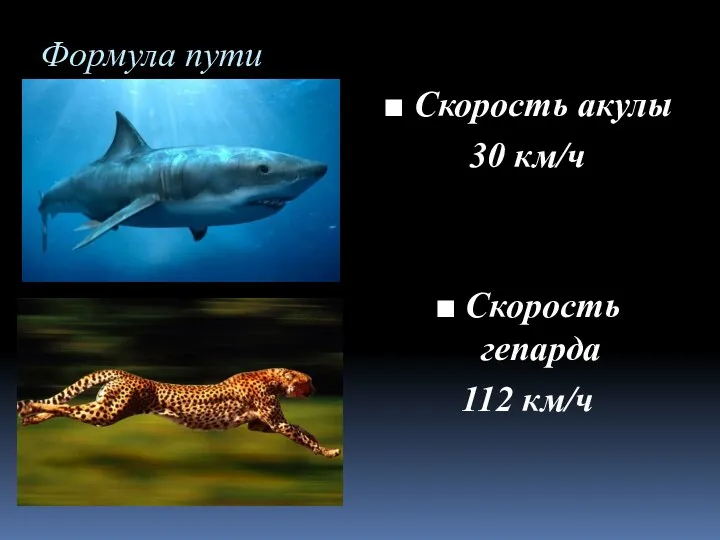 Формула пути ■ Скорость акулы 30 км/ч ■ Скорость гепарда 112 км/ч