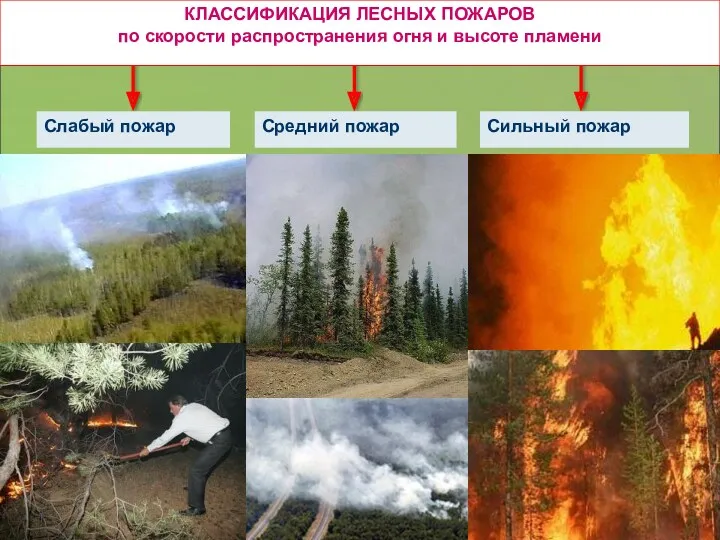 КЛАССИФИКАЦИЯ ЛЕСНЫХ ПОЖАРОВ по скорости распространения огня и высоте пламени Слабый пожар Средний пожар Сильный пожар