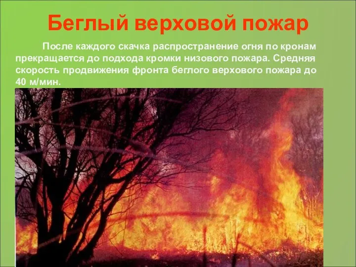 Беглый верховой пожар После каждого скачка распространение огня по кронам