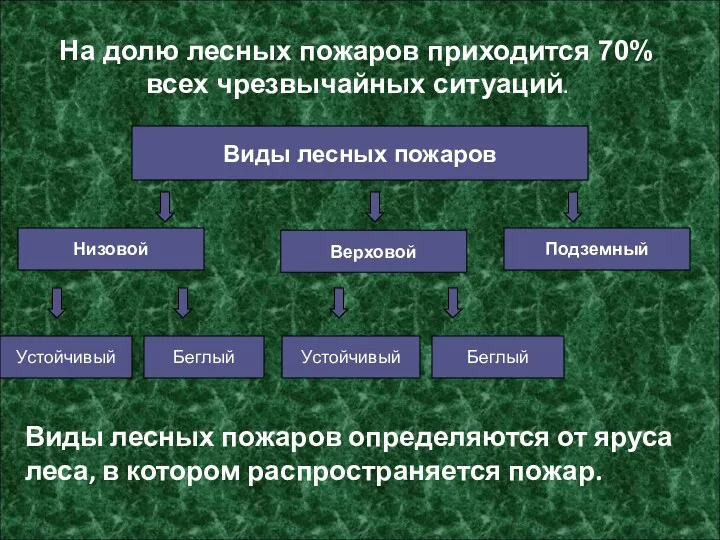 Виды лесных пожаров определяются от яруса леса, в котором распространяется