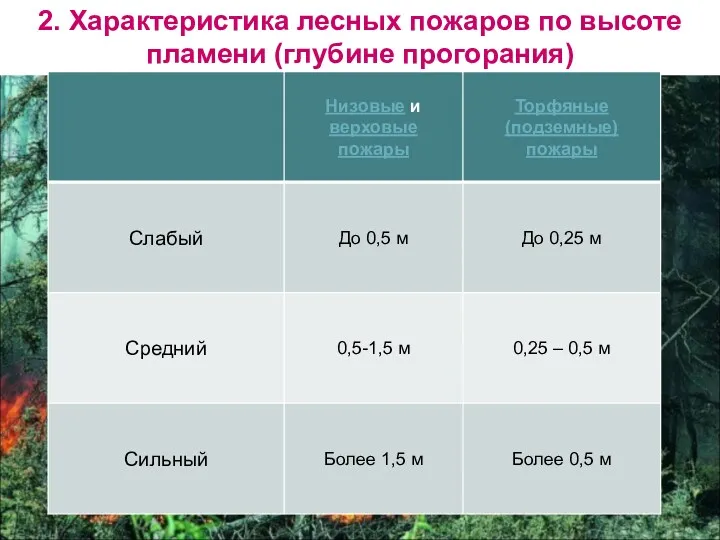 2. Характеристика лесных пожаров по высоте пламени (глубине прогорания)