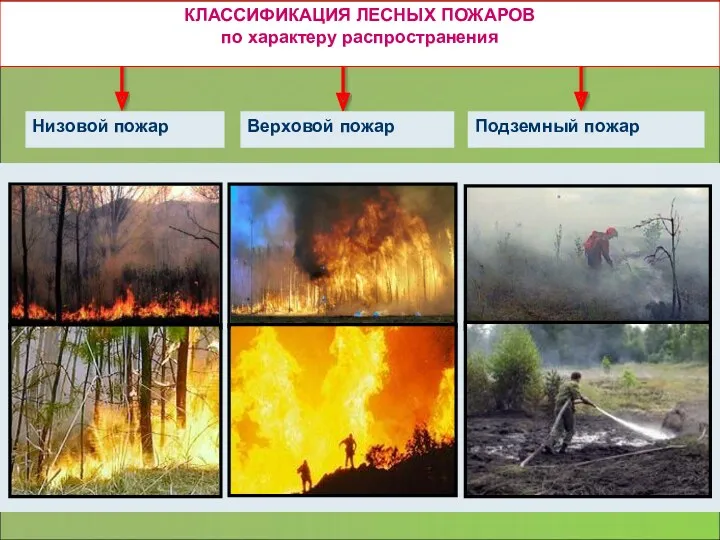 КЛАССИФИКАЦИЯ ЛЕСНЫХ ПОЖАРОВ по характеру распространения Низовой пожар Верховой пожар Подземный пожар