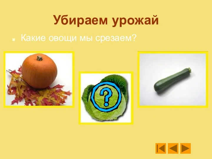 Убираем урожай Какие овощи мы срезаем?