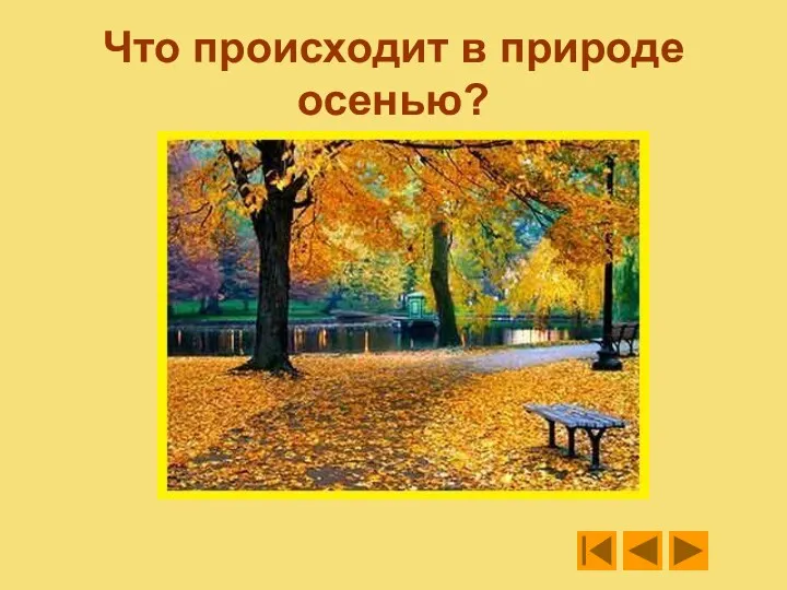 Что происходит в природе осенью?