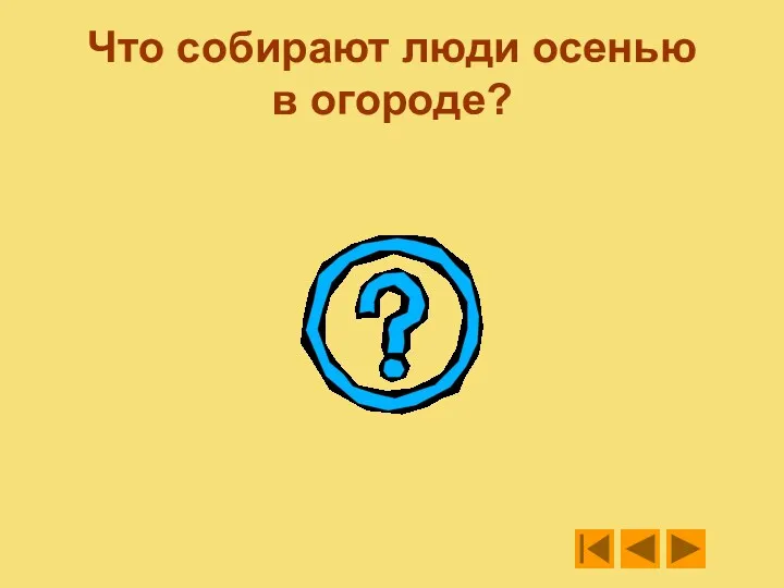 Что собирают люди осенью в огороде?