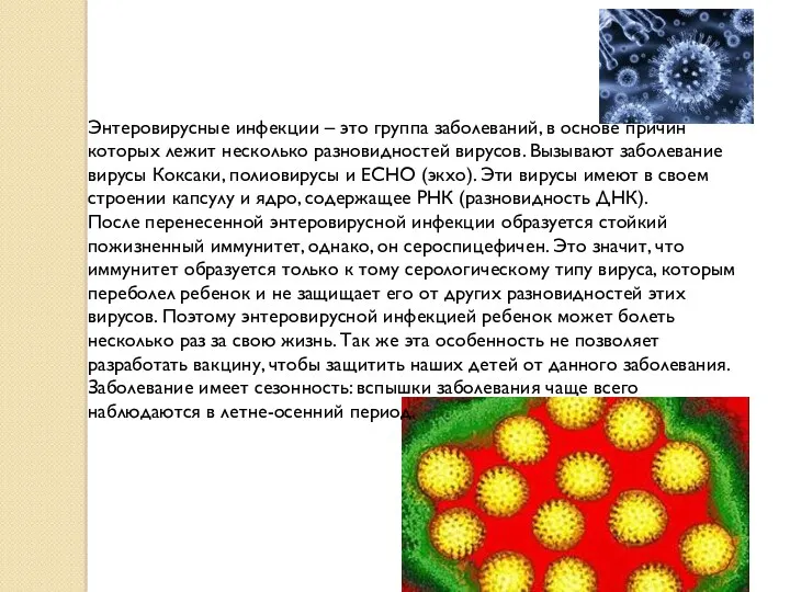 Энтеровирусные инфекции – это группа заболеваний, в основе причин которых лежит несколько разновидностей