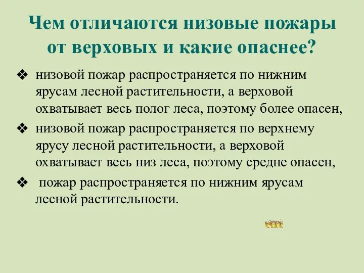 Чем отличаются низовые пожары от верховых и какие опаснее? низовой