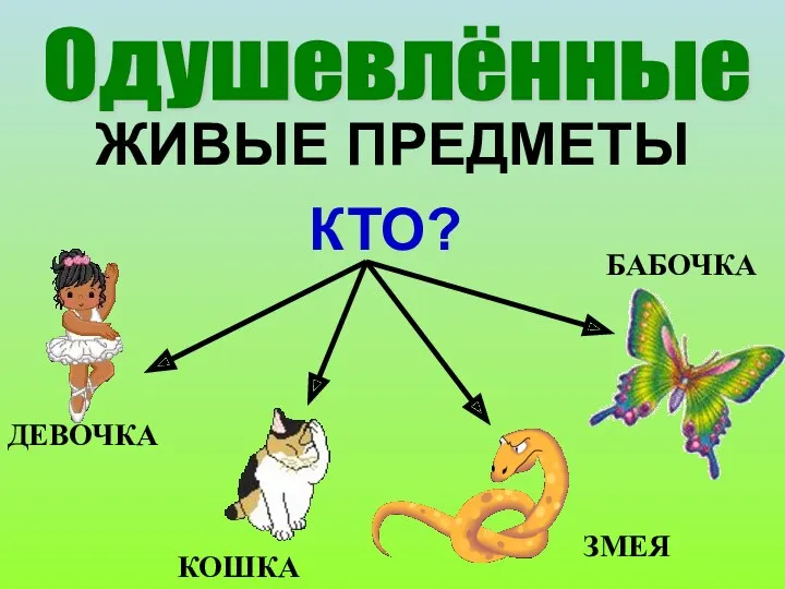 ЖИВЫЕ ПРЕДМЕТЫ Одушевлённые КТО? ДЕВОЧКА КОШКА ЗМЕЯ БАБОЧКА