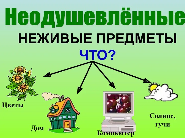 НЕЖИВЫЕ ПРЕДМЕТЫ ЧТО? Цветы Дом Компьютер Солнце, тучи Неодушевлённые