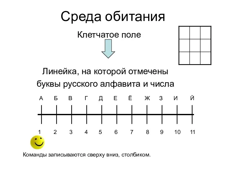 Среда обитания Клетчатое поле Линейка, на которой отмечены буквы русского алфавита и числа