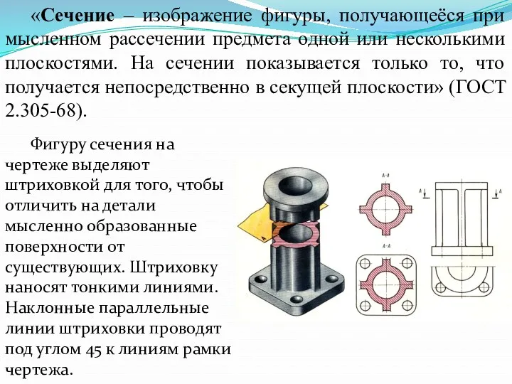 «Сечение – изображение фигуры, получающеёся при мысленном рассечении предмета одной