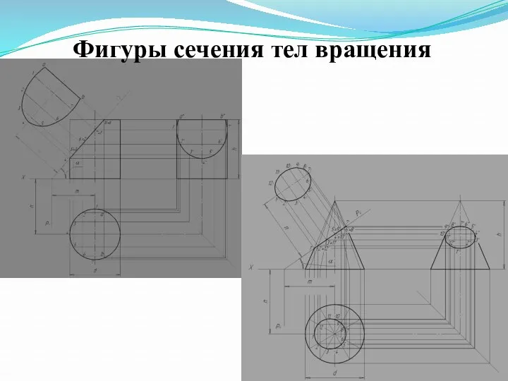 Фигуры сечения тел вращения