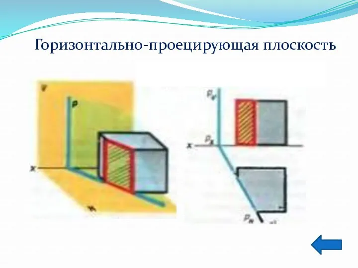 Горизонтально-проецирующая плоскость