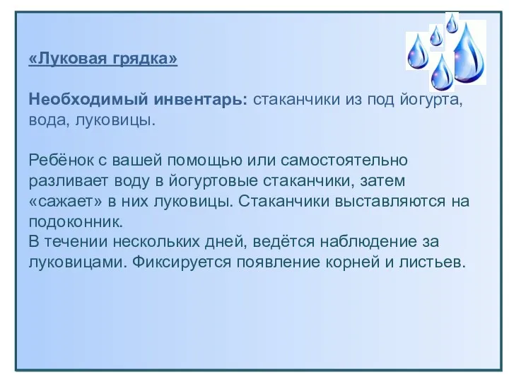 «Луковая грядка» Необходимый инвентарь: стаканчики из под йогурта, вода, луковицы.