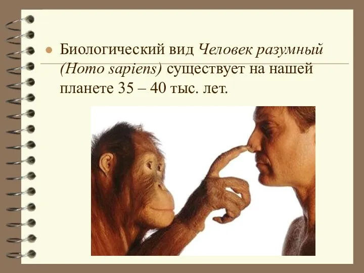 Биологический вид Человек разумный (Нomo sapiens) существует на нашей планете 35 – 40 тыс. лет.