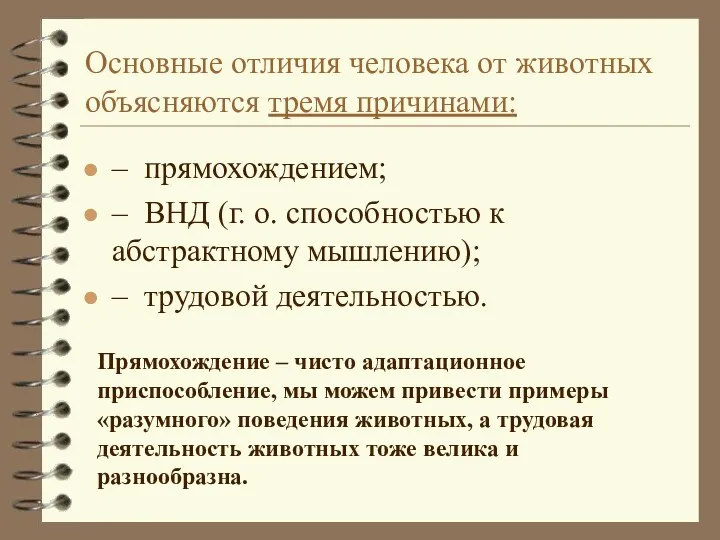 Основные отличия человека от животных объясняются тремя причинами: – прямохождением; – ВНД (г.