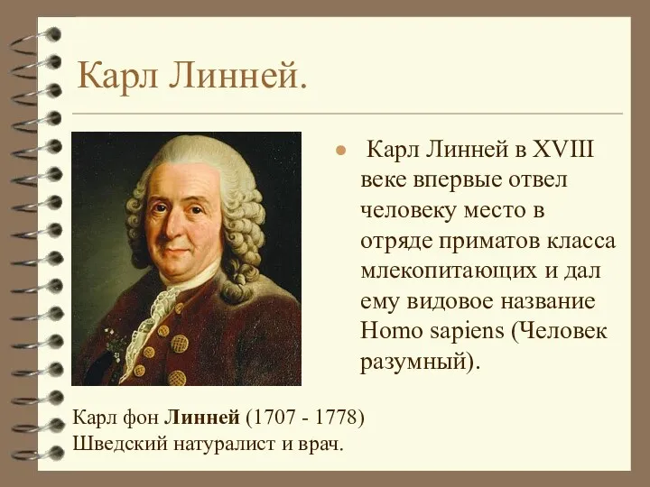 Карл Линней. Карл Линней в XVIII веке впервые отвел человеку место в отряде