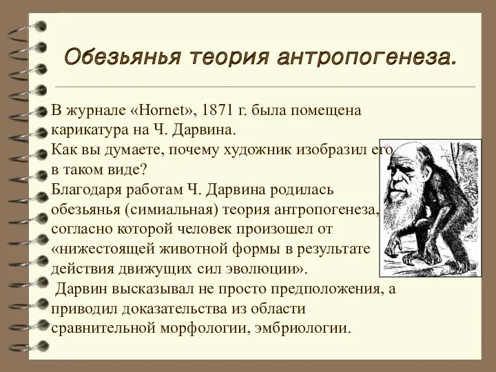 Обезьянья теория антропогенеза. В журнале «Hornet», 1871 г. была помещена карикатура на Ч.