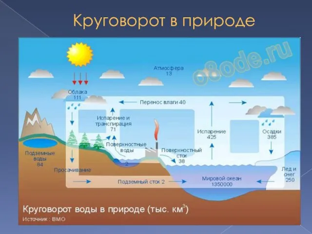 Круговорот в природе