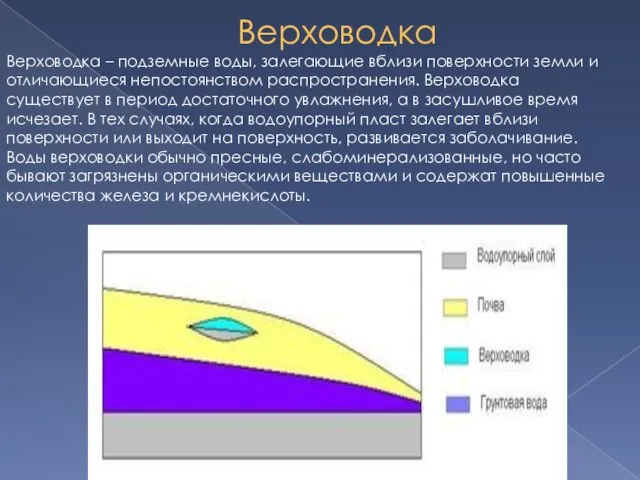 Верховодка Верховодка – подземные воды, залегающие вблизи поверхности земли и