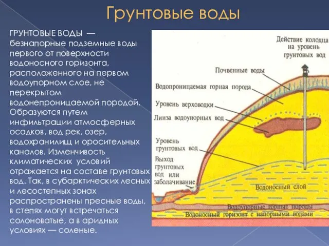 Грунтовые воды ГРУНТОВЫЕ ВОДЫ — безнапорные подземные воды первого от