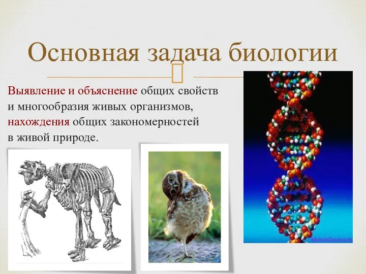 Основная задача биологии Выявление и объяснение общих свойств и многообразия живых организмов, нахождения