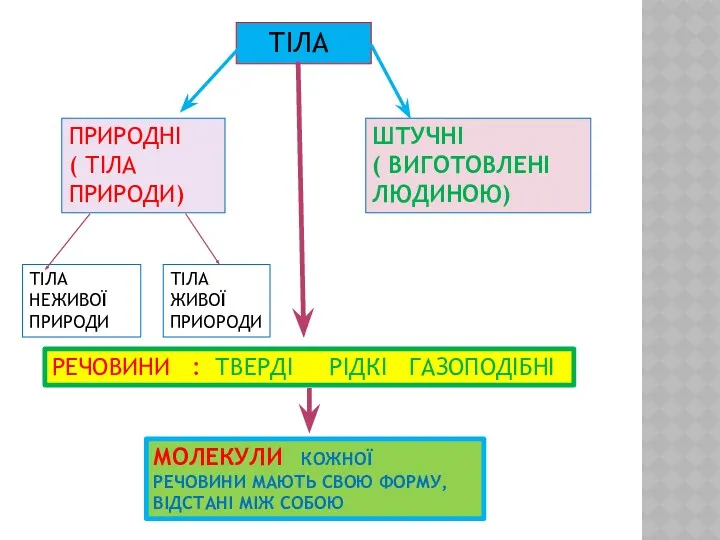 ТІЛА ПРИРОДНІ ( ТІЛА ПРИРОДИ) ШТУЧНІ ( ВИГОТОВЛЕНІ ЛЮДИНОЮ) ТІЛА НЕЖИВОЇ ПРИРОДИ ТІЛА