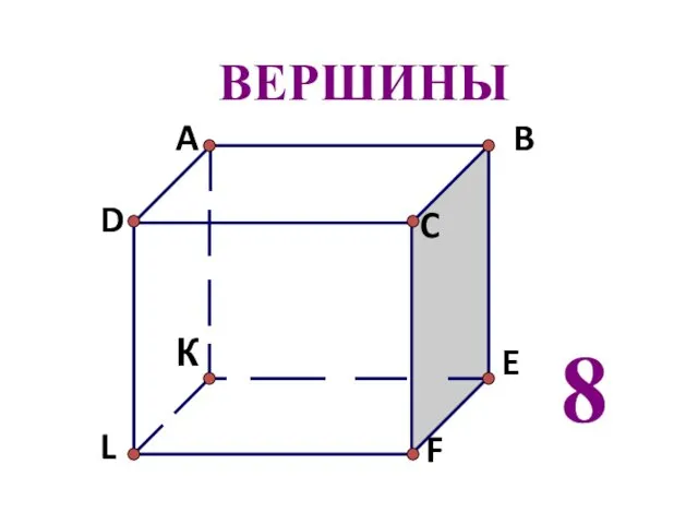 ВЕРШИНЫ 8