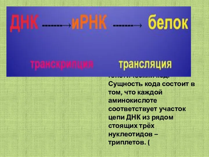 Для реализации информации используется генетический код. Сущность кода состоит в