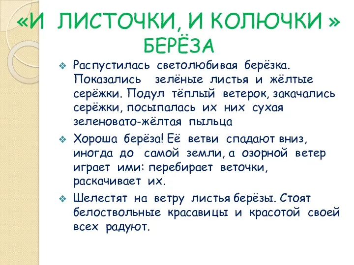 «И ЛИСТОЧКИ, И КОЛЮЧКИ » БЕРЁЗА Распустилась светолюбивая берёзка. Показались