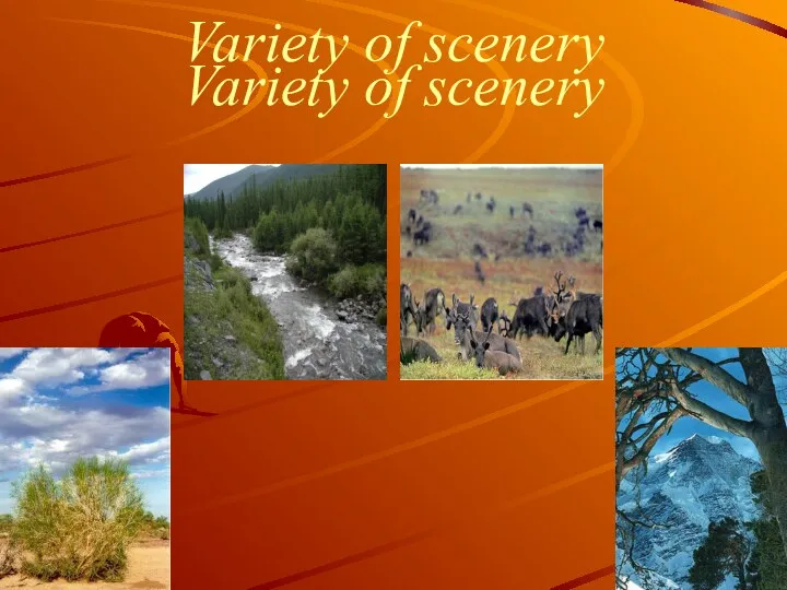 Variety of scenery Variety of scenery