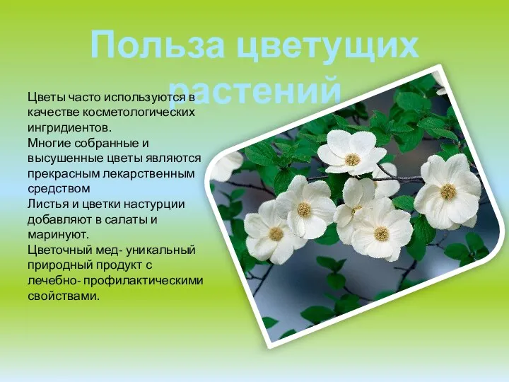 Польза цветущих растений Цветы часто используются в качестве косметологических ингридиентов. Многие собранные и