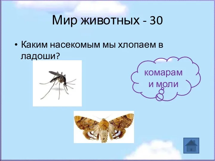 Мир животных - 30 Каким насекомым мы хлопаем в ладоши? комарам и моли