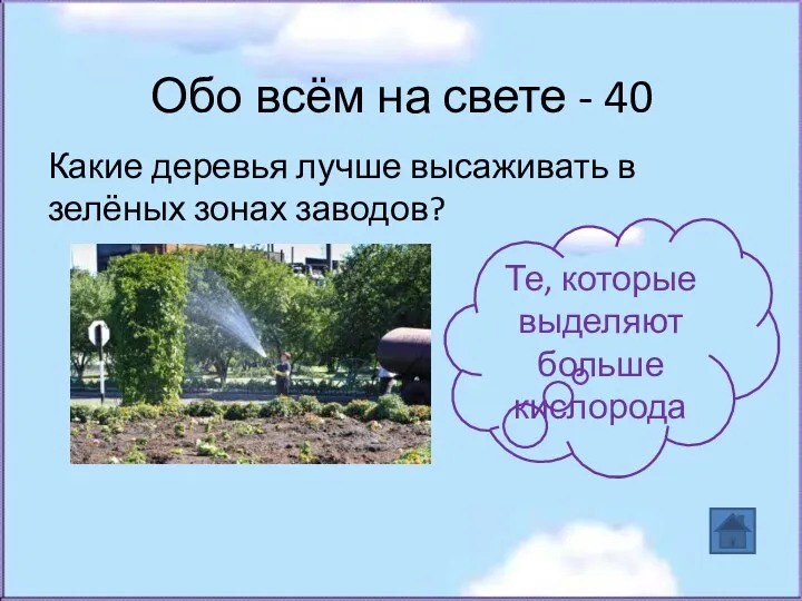 Обо всём на свете - 40 Какие деревья лучше высаживать в зелёных зонах