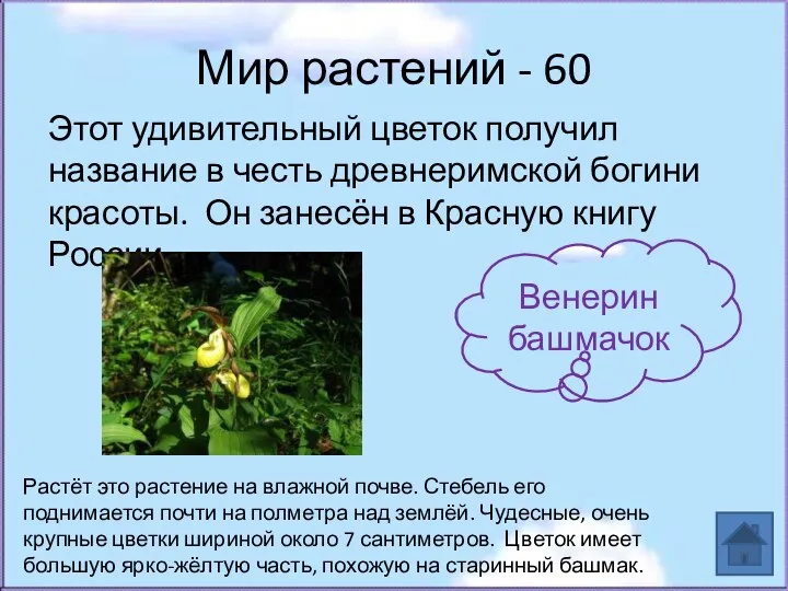 Мир растений - 60 Этот удивительный цветок получил название в честь древнеримской богини