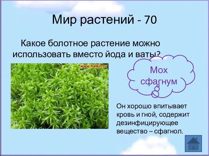 Мир растений - 70 Какое болотное растение можно использовать вместо йода и ваты?