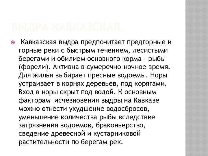 Выдра кавказская. Кавказская выдра предпочитает предгорные и горные реки с