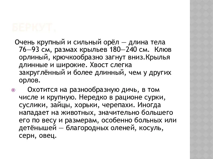 Беркут. Очень крупный и сильный орёл — длина тела 76—93