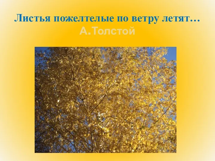 Листья пожелтелые по ветру летят… А.Толстой