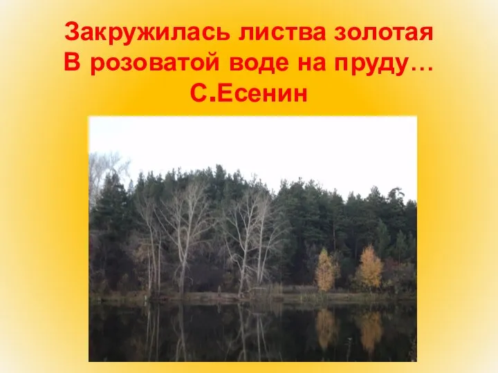 Закружилась листва золотая В розоватой воде на пруду… С.Есенин