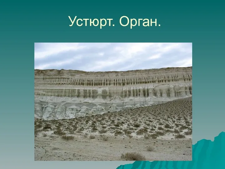 Устюрт. Орган.