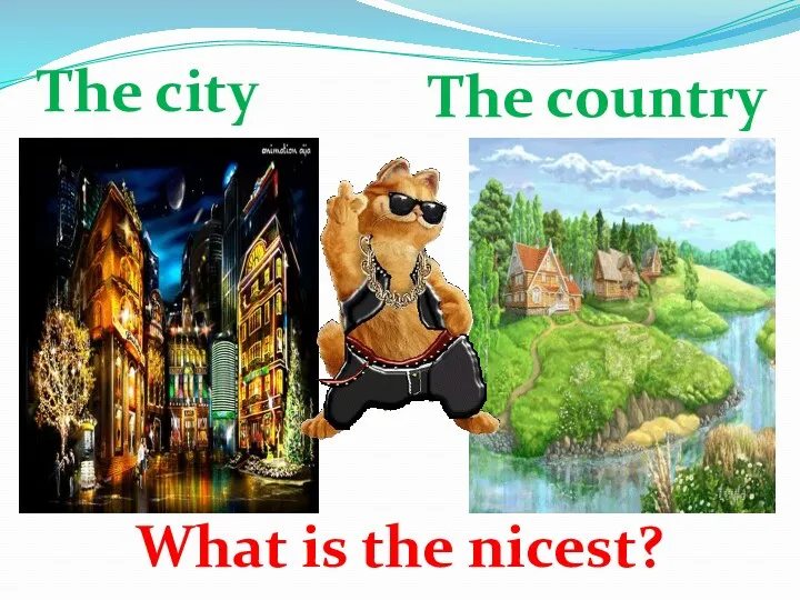 The city The country What is the nicest?