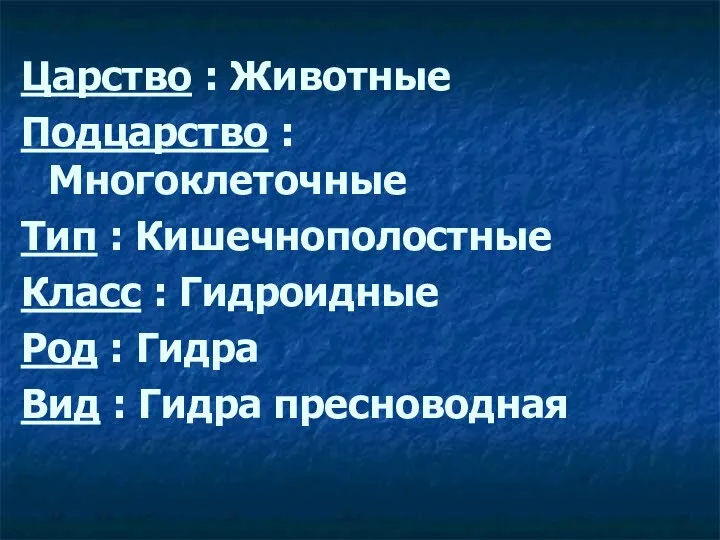 Царство : Животные Подцарство : Многоклеточные Тип : Кишечнополостные Класс