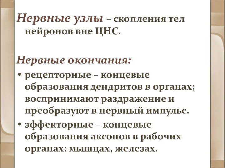 Нервные узлы – скопления тел нейронов вне ЦНС. Нервные окончания: рецепторные – концевые