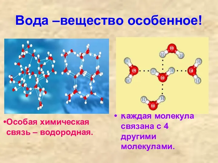Вода –вещество особенное! Каждая молекула связана с 4 другими молекулами. Особая химическая связь – водородная.