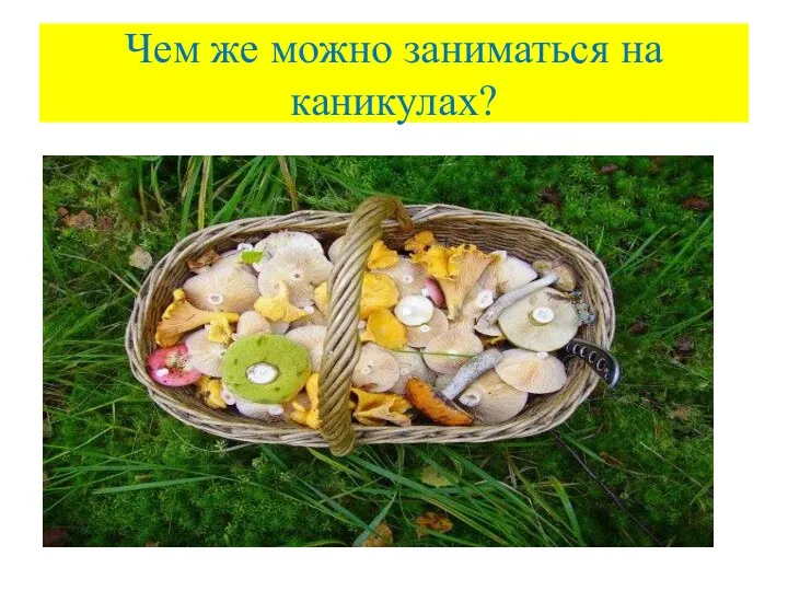 Чем же можно заниматься на каникулах?